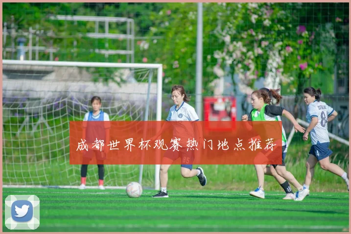 成都世界杯观赛热门地点推荐